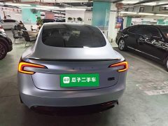 Tesla Model 3 High Performance All-Wheel Drive - ფოტო 5