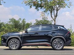 Jetour Jietu Dasheng 1.6T DCT King Plus - ფოტო 6
