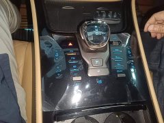Denza D9 DM-i 970 AWD Flagship - ფოტო 13