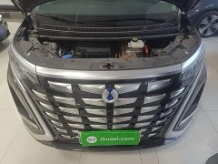 Denza D9 DM-i 970 AWD Flagship - ფოტო 19
