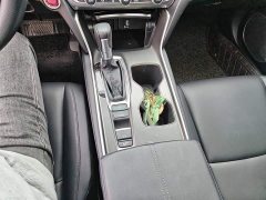Honda Accord 260TURBO Luxury Edition - photo 10