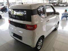 Wuling Hongguang MINIEV Zizai Edition LFP Battery - фото 6