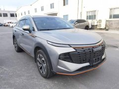 Haval Divine Beast 1.5T Smart Premium Edition - ფოტო 3