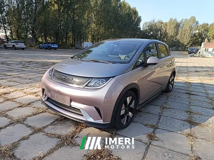 BYD Dolphin 401km Knight Edition - ავტომობილი ჩინეთიდან