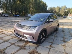 BYD Dolphin 401km Knight Edition - ფოტო 1