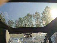 BYD Dolphin 401km Knight Edition - ფოტო 17