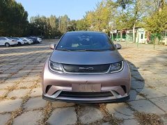 BYD Dolphin 401km Knight Edition - ფოტო 2