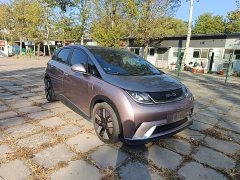 BYD Dolphin 401km Knight Edition - ფოტო 3