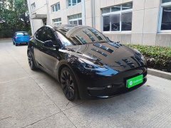Tesla Model Y Performance All-Wheel Drive - photo 1