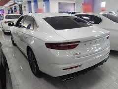 Geely Xingrui 2.0T Diesel Luxury - ფოტო 4