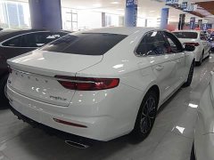 Geely Xingrui 2.0T Diesel Luxury - ფოტო 6