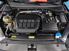Volkswagen Magotan 330TSI DSG Advance - photo 19
