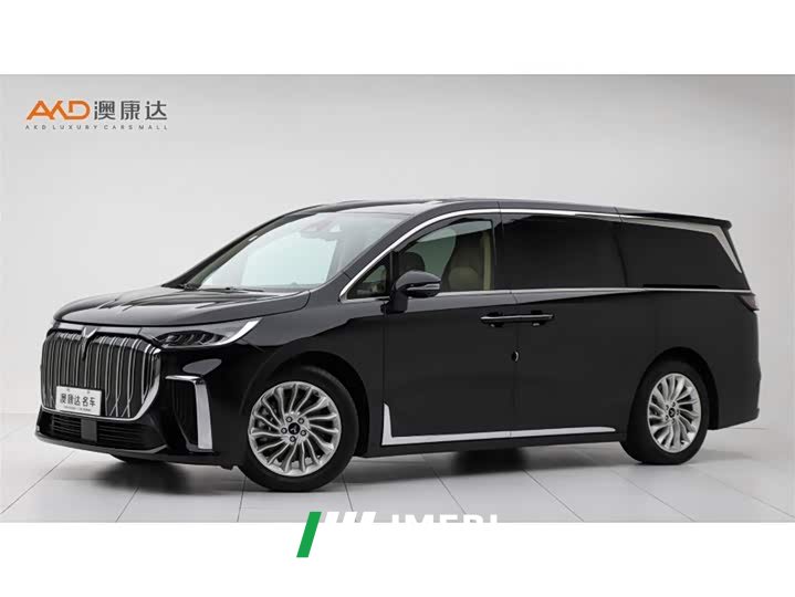 Voyah Dream EV Long Range Deluxe Edition - ავტომობილი ჩინეთიდან