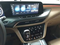 Buick GL8 ES LuZun 653T Respect Edition - photo 12