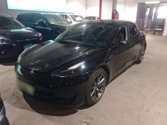 Tesla Model 3 Standard Range RWD Upgrade 3D6 - ფოტო 1