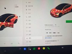 Tesla Model 3 Standard Range RWD Upgrade 3D6 - ფოტო 11