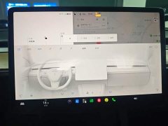 Tesla Model 3 Standard Range RWD Upgrade 3D6 - ფოტო 12