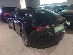 Tesla Model 3 Standard Range RWD Upgrade 3D6 - ფოტო 4