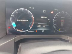 Tank 300 2.0T Challenger - ფოტო 11