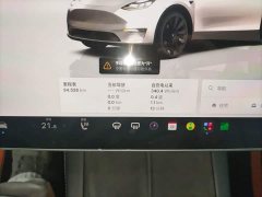 Tesla Model Y Rear-Wheel Drive - ფოტო 11
