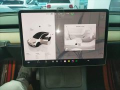 Tesla Model Y Rear-Wheel Drive - ფოტო 12