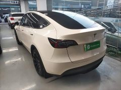 Tesla Model Y Rear-Wheel Drive - ფოტო 4