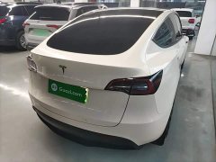 Tesla Model Y Rear-Wheel Drive - ფოტო 6