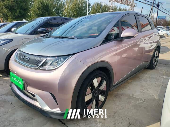 BYD Dolphin 401km Knight Edition - автомобиль из Китая