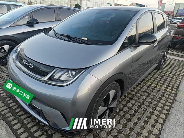 BYD Dolphin 420km Fashion Edition - ავტომობილი ჩინეთიდან