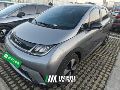 2023 BYD Dolphin 420km Fashion Edition - ავტომობილი ჩინეთიდან