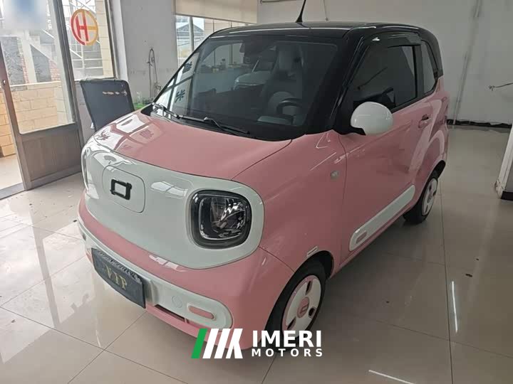 FAW Besturn Xiaoma 222km Dynamic Edition
