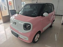 FAW Besturn Xiaoma 222km Dynamic Edition - ფოტო 1