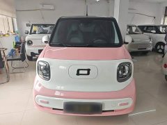 FAW Besturn Xiaoma 222km Dynamic Edition - ფოტო 2