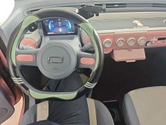 FAW Besturn Xiaoma 222km Dynamic Edition - ფოტო 9