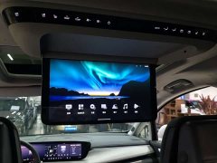 Buick GL8 Luxurious Edition Premium Trim - фото 16