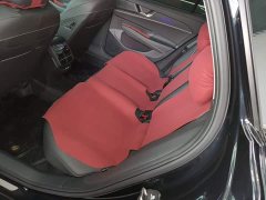 Volkswagen Passat Pro 380TSI Starry Sky Dragon Prestige Edition - photo 16