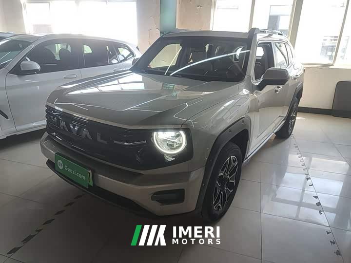 Haval Big Dog PLUS New Energy Hi4 150km Trendy EV Edition - ავტომობილი ჩინეთიდან