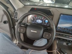 Haval Big Dog PLUS New Energy Hi4 150km Trendy EV Edition - ფოტო 10