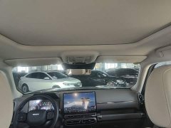 Haval Big Dog PLUS New Energy Hi4 150km Trendy EV Edition - ფოტო 17