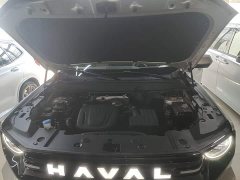 Haval Big Dog PLUS New Energy Hi4 150km Trendy EV Edition - ფოტო 19