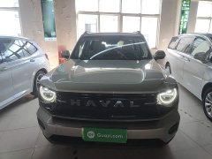 Haval Big Dog PLUS New Energy Hi4 150km Trendy EV Edition - ფოტო 2
