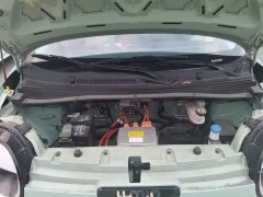 Changan Lumin 205km Xiangqin Edition - photo 19