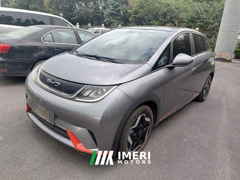 2022 BYD Dolphin 405km Fashion Edition - ავტომობილი ჩინეთიდან