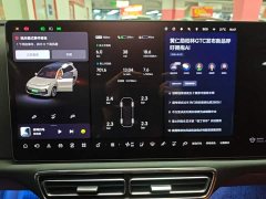 Li Auto L9 Max - ფოტო 11