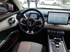 BYD Yuan Plus 510KM Respect and Honor Edition - ფოტო 10