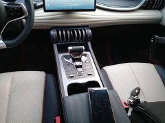 BYD Yuan Plus 510KM Respect and Honor Edition - ფოტო 13