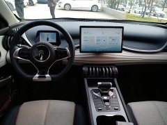 BYD Yuan Plus 510KM Respect and Honor Edition - ფოტო 9