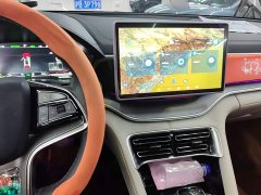 BYD Song Plus New Energy DM-i 51KM Premium Edition - ფოტო 12