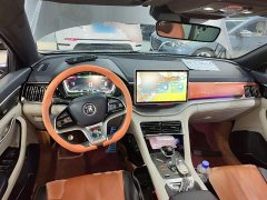 BYD Song Plus New Energy DM-i 51KM Premium Edition - ფოტო 9