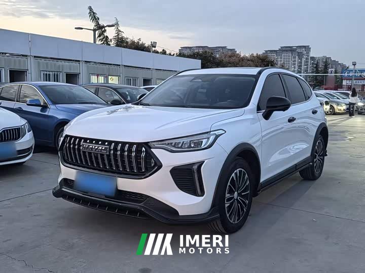 Haval Haver Rabbit 1.5T Dynamic Edition - ავტომობილი ჩინეთიდან